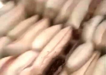 “AY”Pemilik Gudang Pengoplosan Beras Berskala Besar?