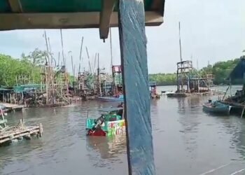 APH Tertidur, Hutan Konservasi  Batu Hitam Rumpak Mengkubung di Jarah Penambang Timah Ilegal