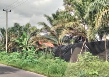 Diluar Nalar !!!, Aktivitas 1 Unit Excavator Hantam Tepi Jalan Raya Desa Teru